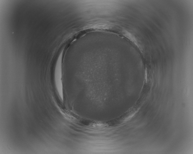 X0000074030205200609181935