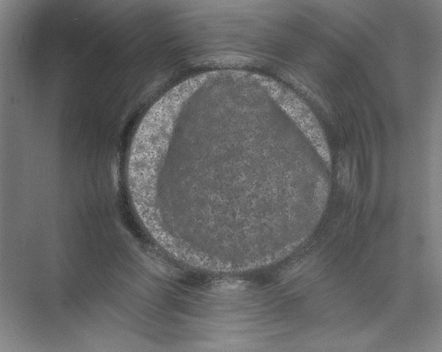 X0000074030206200609181935