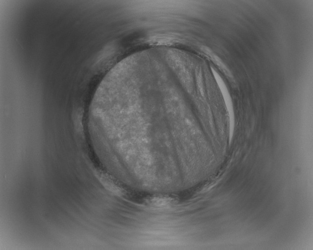 X0000074030209200609181935