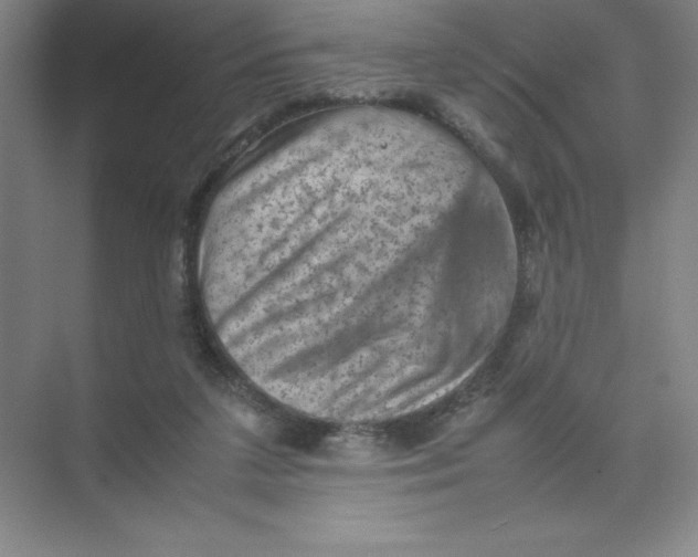 X0000074030211200609181935