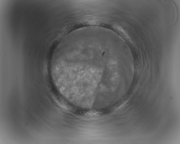 X0000074030213200609181935