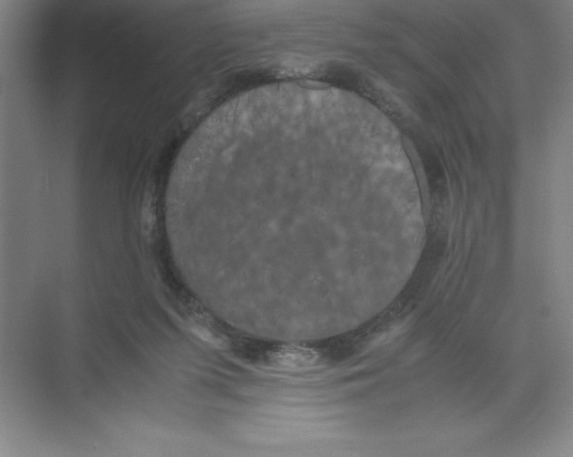 X0000074030215200609181935