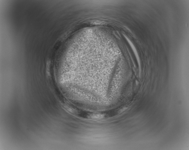 X0000074030217200609181935