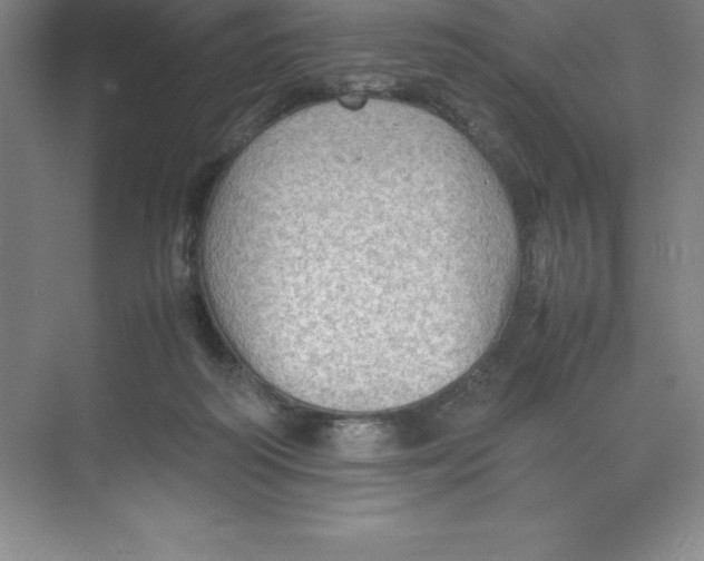 X0000074030218200609181935