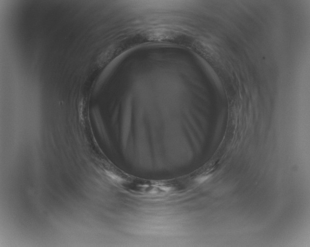 X0000074030219200609181935