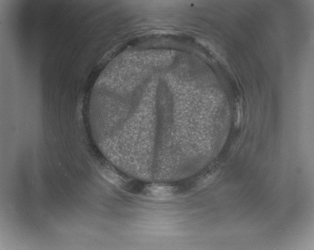 X0000074030221200609181935