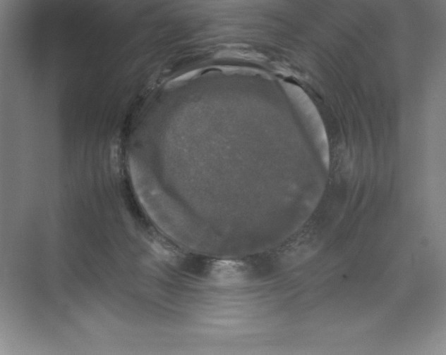 X0000074030222200609181935