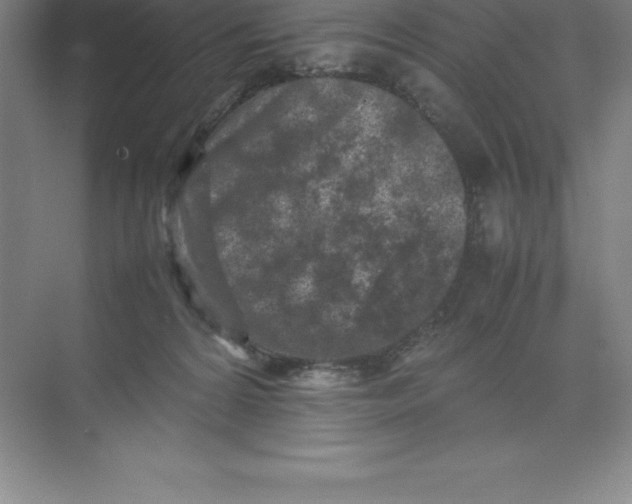 X0000074030224200609181935