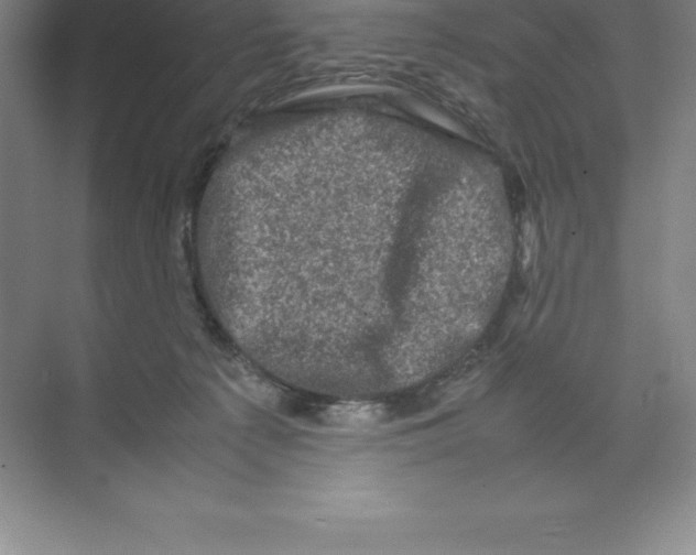 X0000074030225200609181935