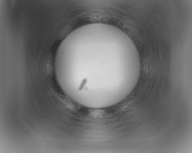 X0000074030226200609181935