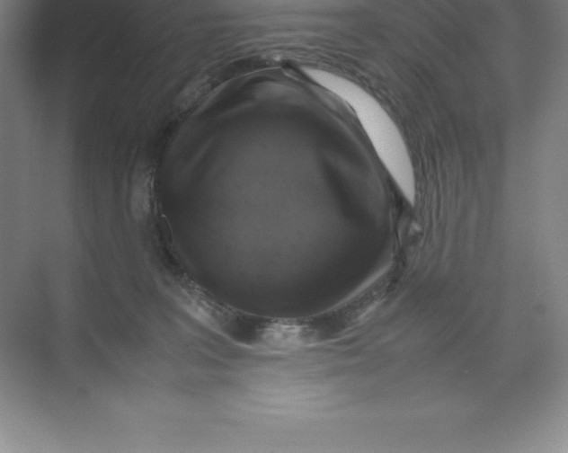 X0000074030227200609181935