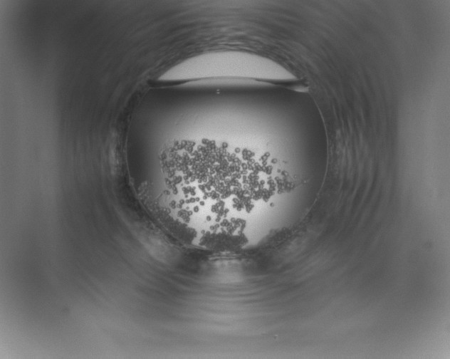 X0000074030228200609181935