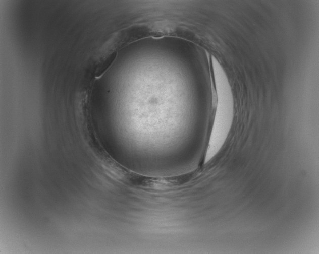 X0000074030229200609181935