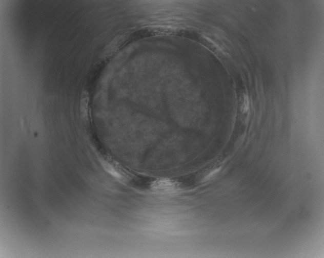 X0000074030231200609181935