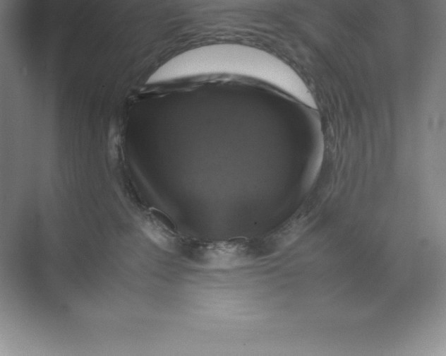 X0000074030235200609181935