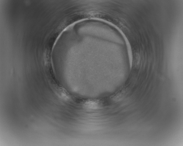 X0000074030236200609181935