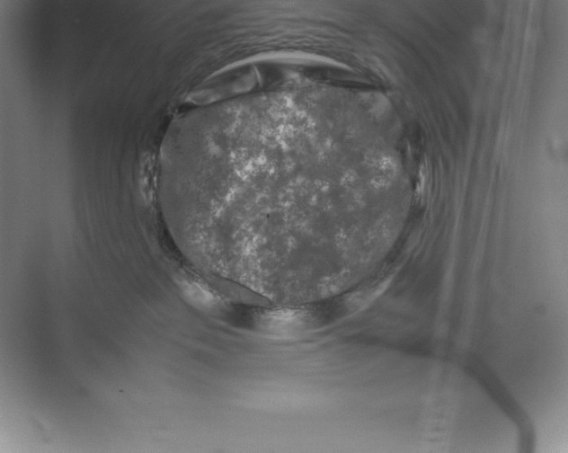 X0000074030237200609181935