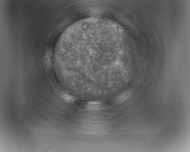 X0000074030240200609181935