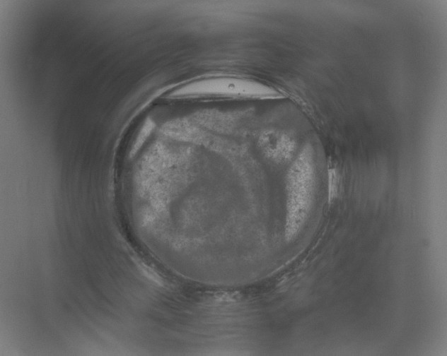 X0000074030243200609181934