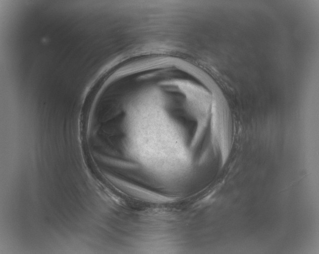 X0000074030244200609181934