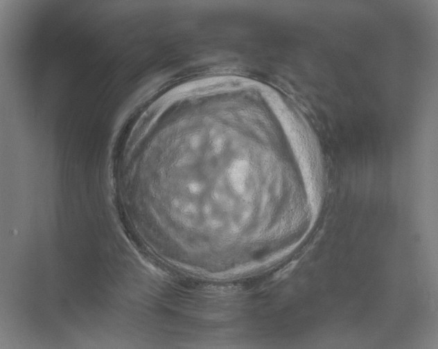 X0000074030245200609181934