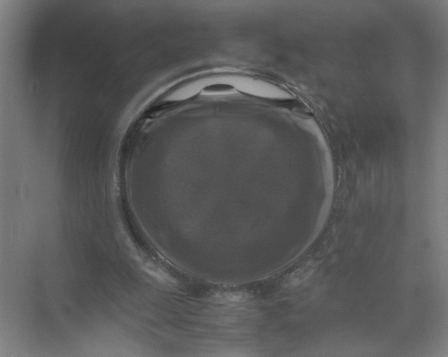 X0000074030247200609181934