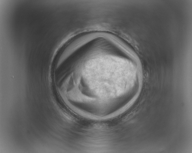 X0000074030248200609181934