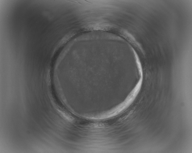 X0000074030250200609181934