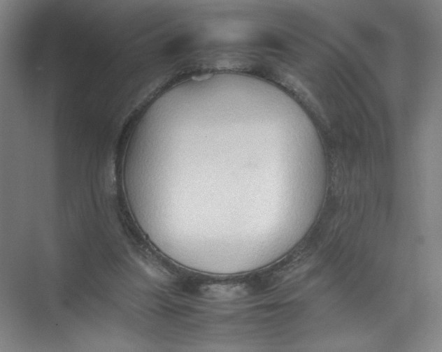 X0000074030251200609181934