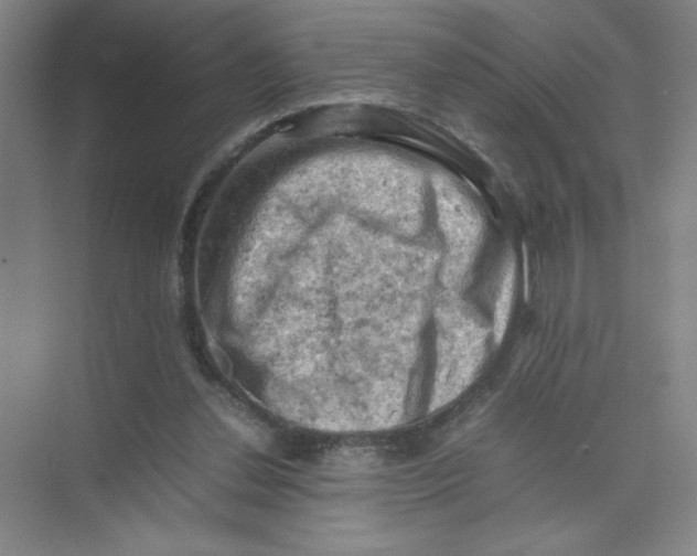 X0000074030252200609181934