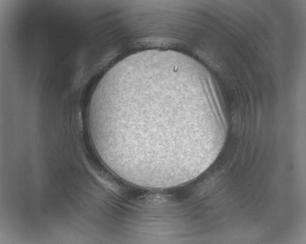 X0000074030254200609181934