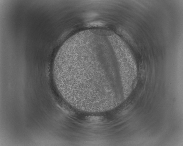 X0000074030255200609181934