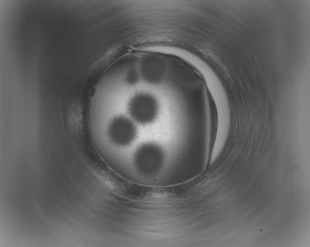 X0000074030260200609181934