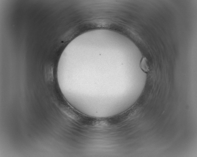 X0000074030262200609181934