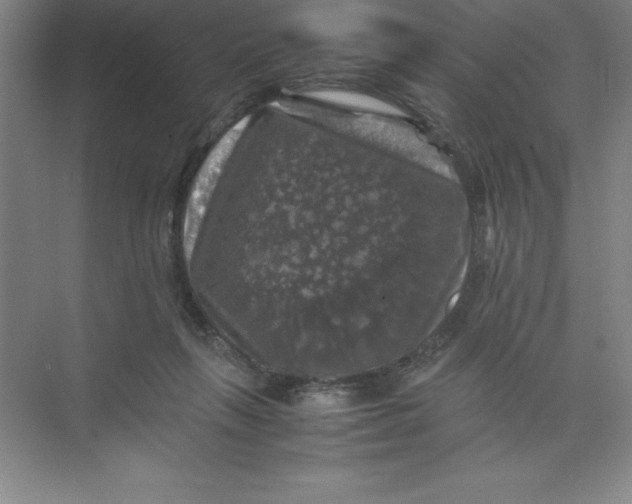 X0000074030263200609181934