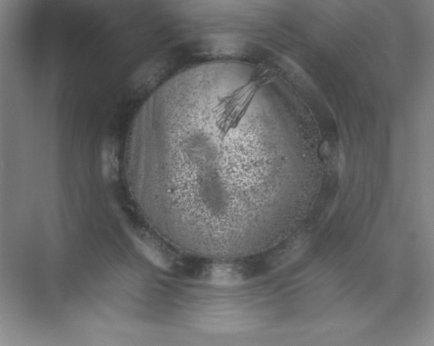 X0000074030264200609181934