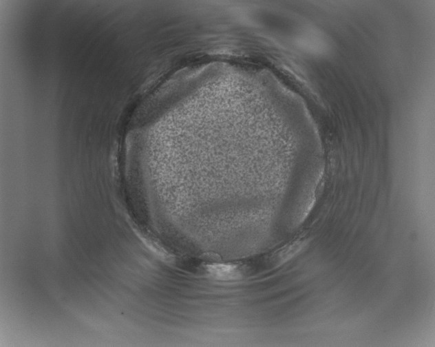 X0000074030265200609181934