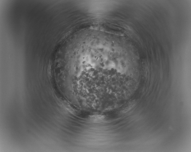 X0000074030266200609181934