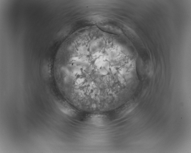 X0000074030268200609181934