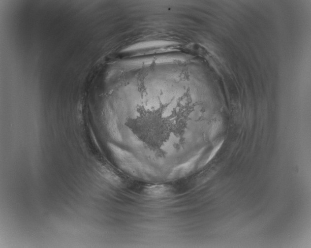 X0000074030269200609181934