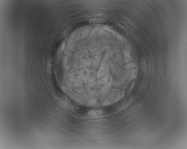 X0000074030271200609181934