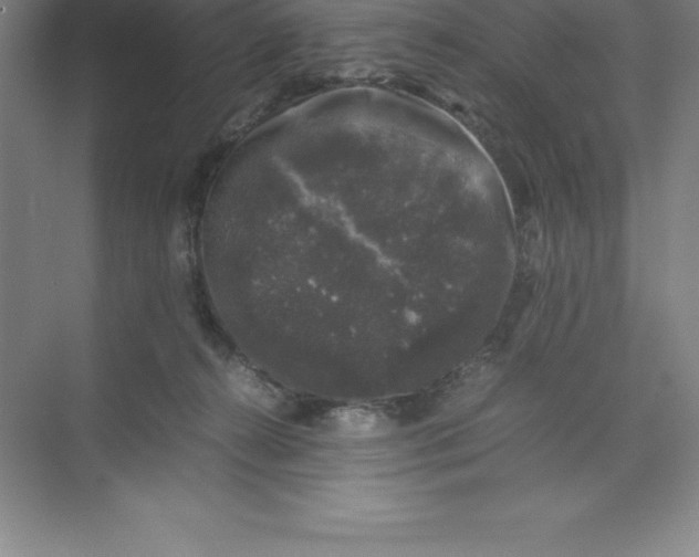 X0000074030272200609181934