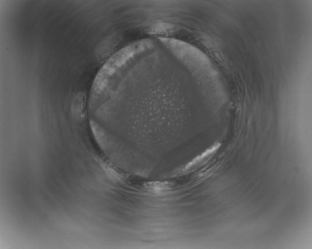 X0000074030273200609181934