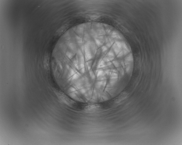 X0000074030274200609181934