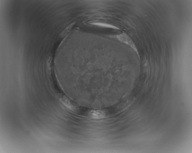 X0000074030275200609181934