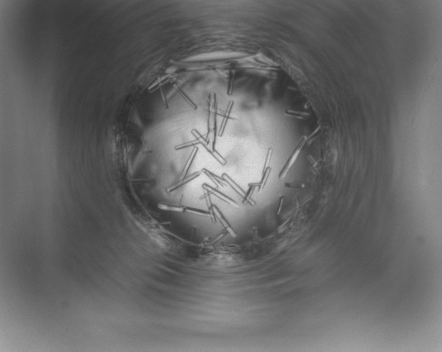 X0000074030276200609181934