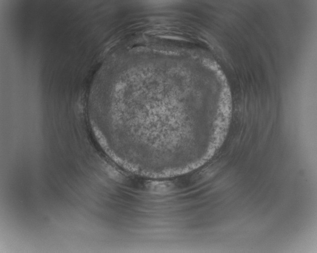 X0000074030277200609181934