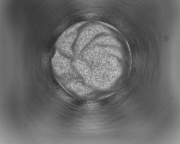 X0000074030278200609181934