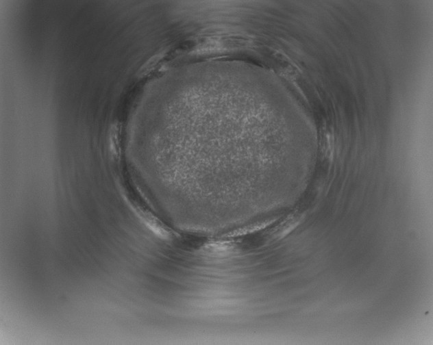 X0000074030280200609181934