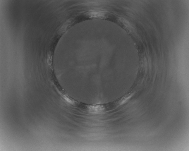 X0000074030281200609181934